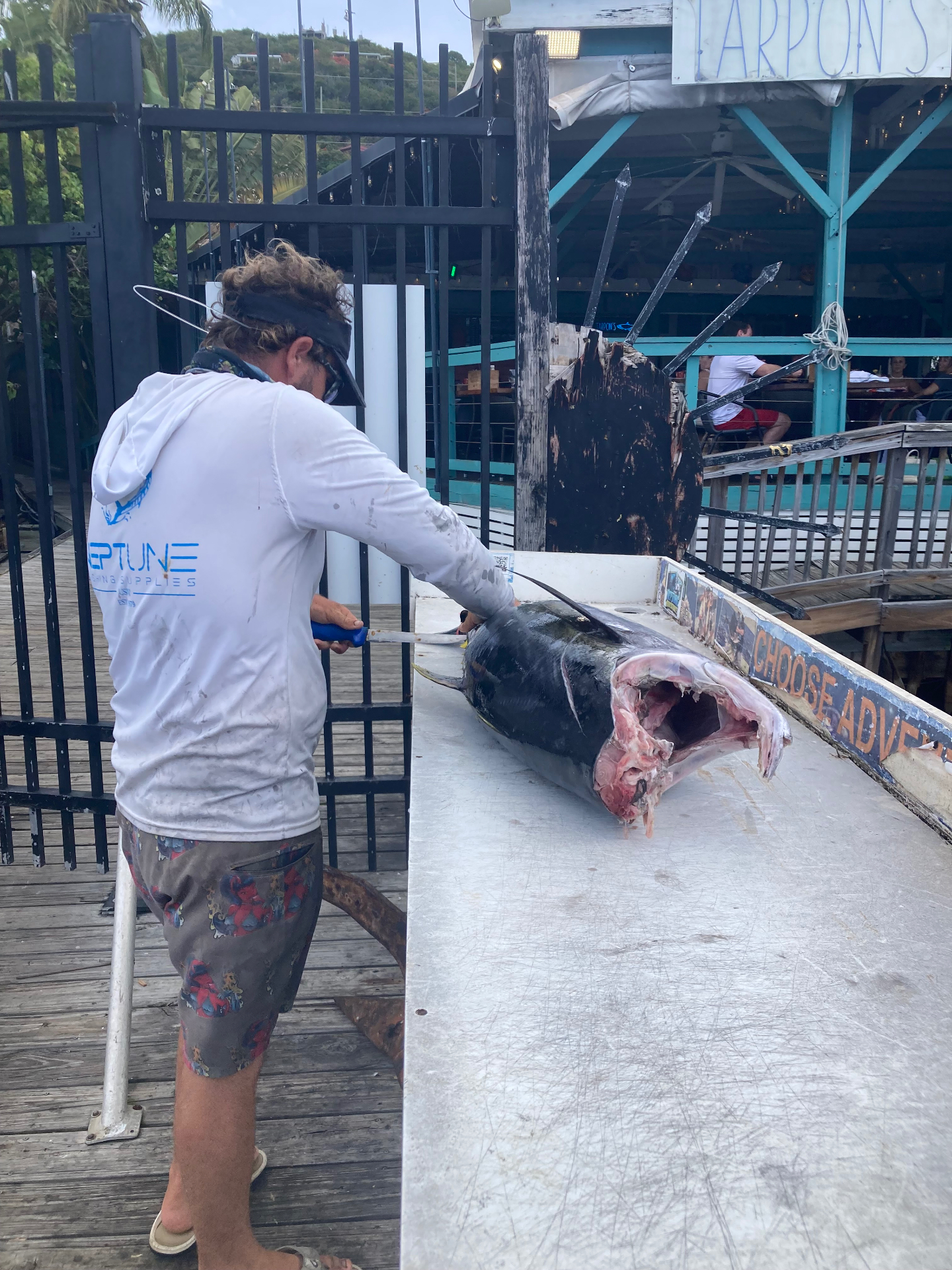 Captain cleaning a blue marlin at the dock